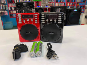 RADIO FM PORTATIL Y RECARGABLE  DIGITALSUNFLASH Z-125PA